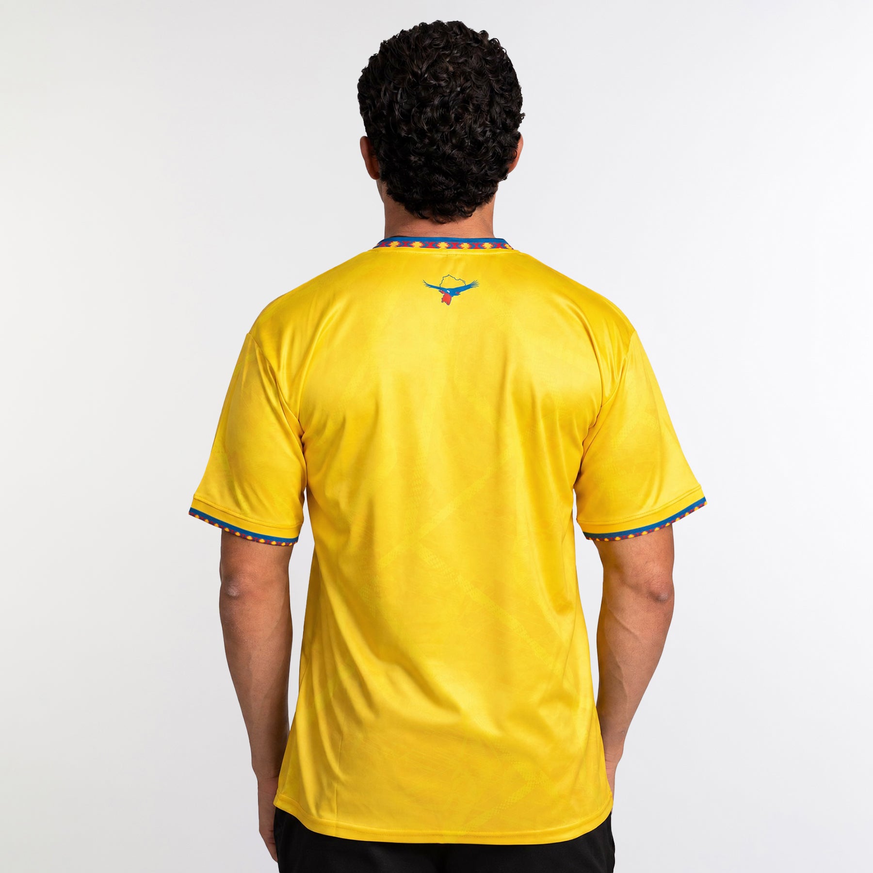 Ecuador Heritage Custom Football Jersey - Image 4