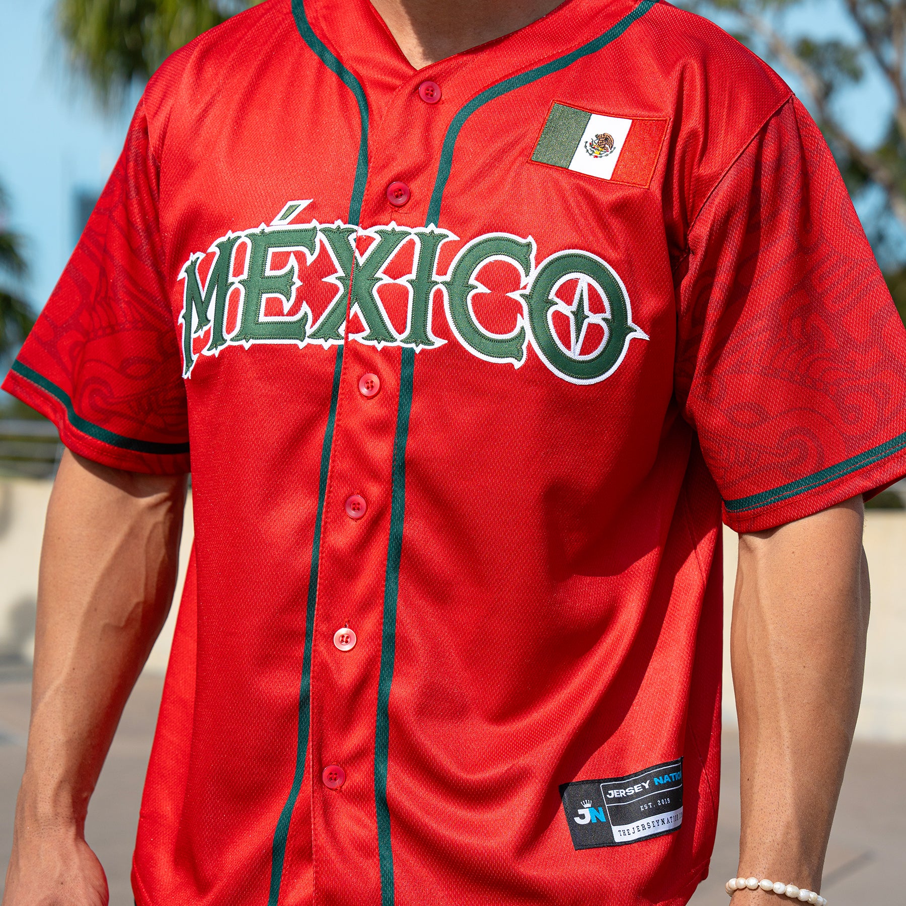 Mexico Heritage Custom Baseball Jersey - Image 39